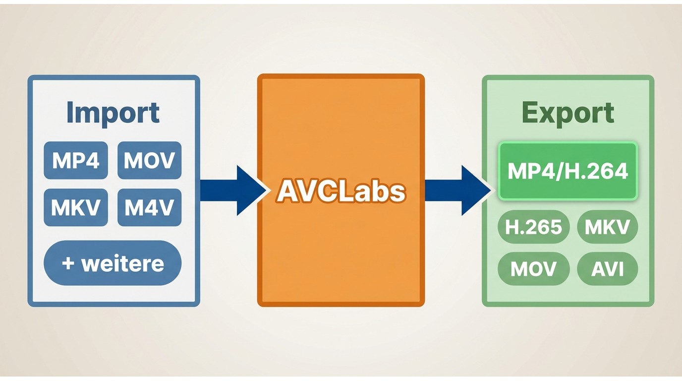 AVCLabs Import- und Exportformate mit MP4/H.264 als sicherster Ausgabeoption