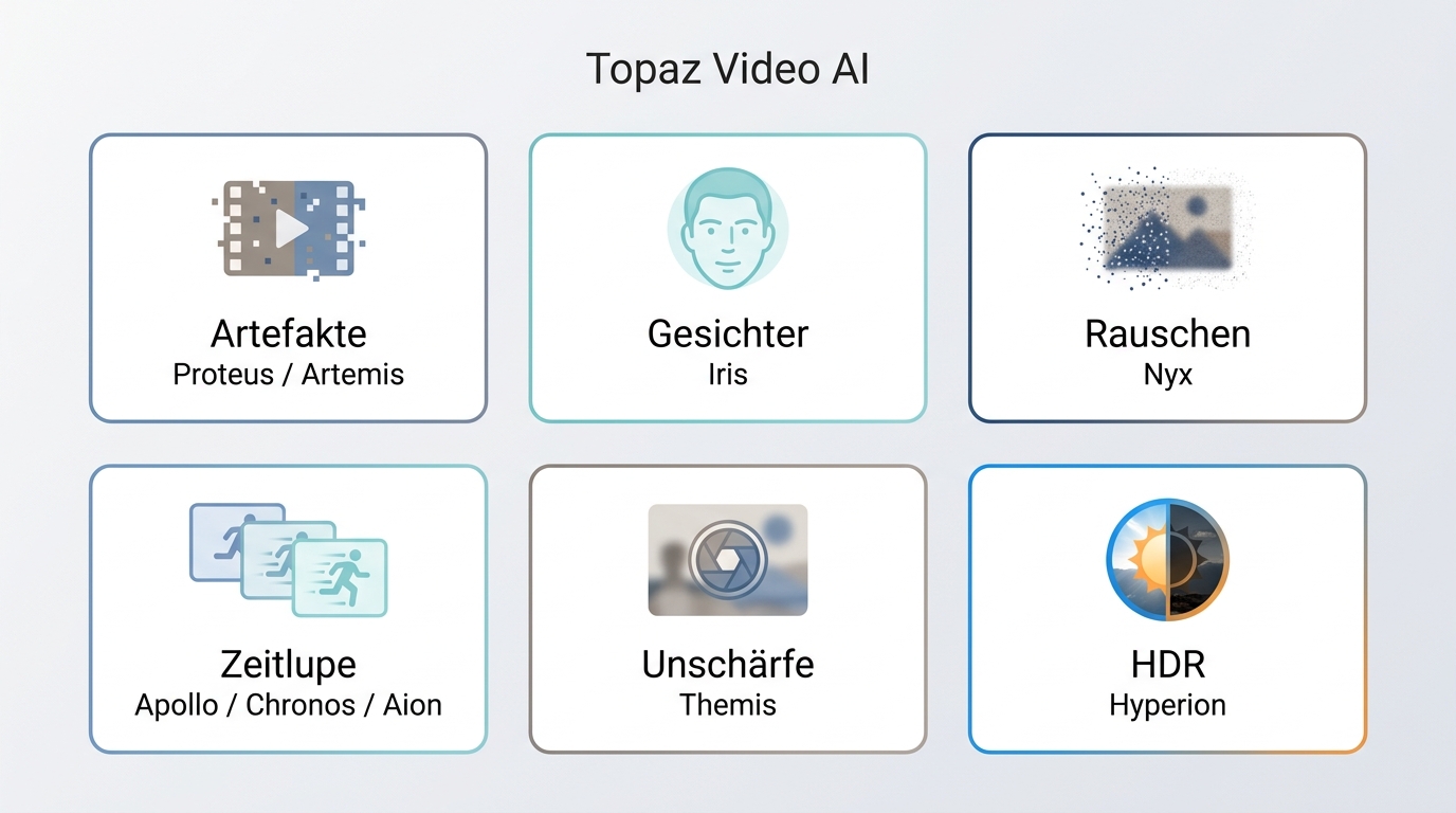 Zuordnung der Topaz-Modelle zu Rauschen, Gesichtern, Bewegung, Upscaling und HDR